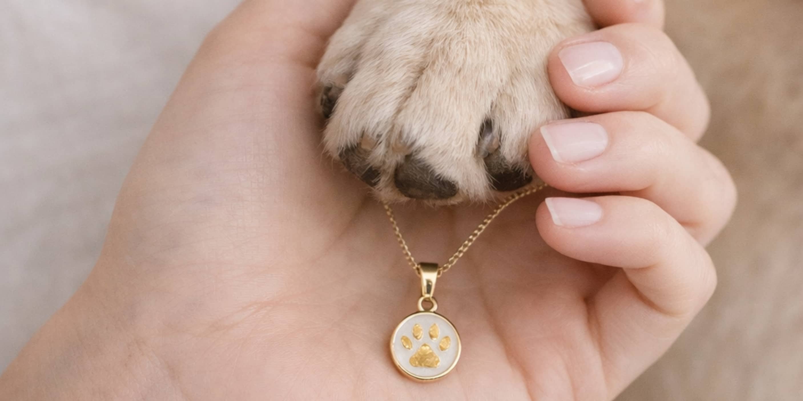 sperk-s-otiskem-tlapky